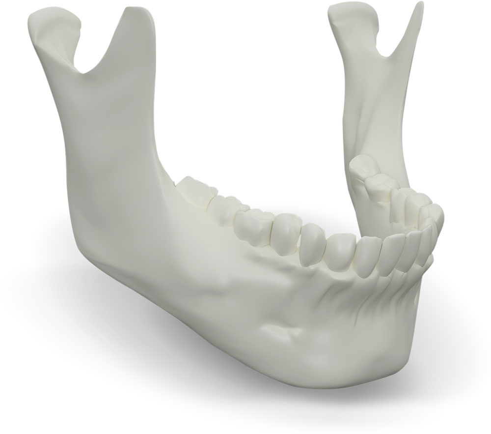 The Top Reasons Why You Need Corrective Jaw Surgery! Biology Diagrams
